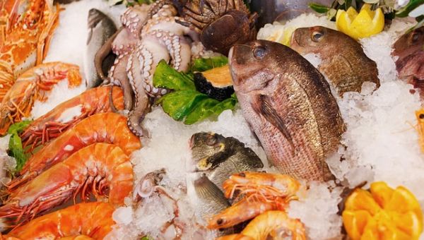 Meat and seafood, frozen food, Dried seafood and foodstuff, Leftover